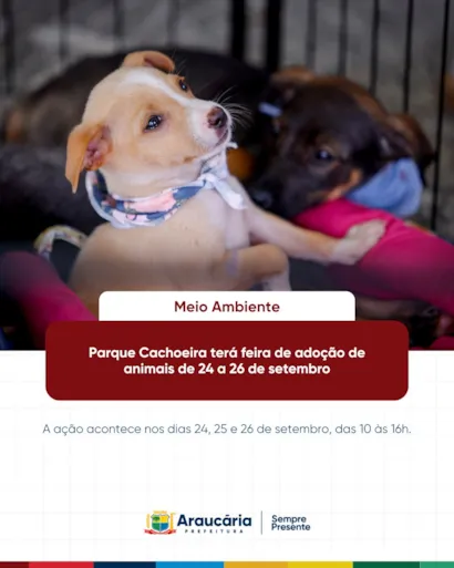 Feira de Adoção de Animais no Parque Cachoeira