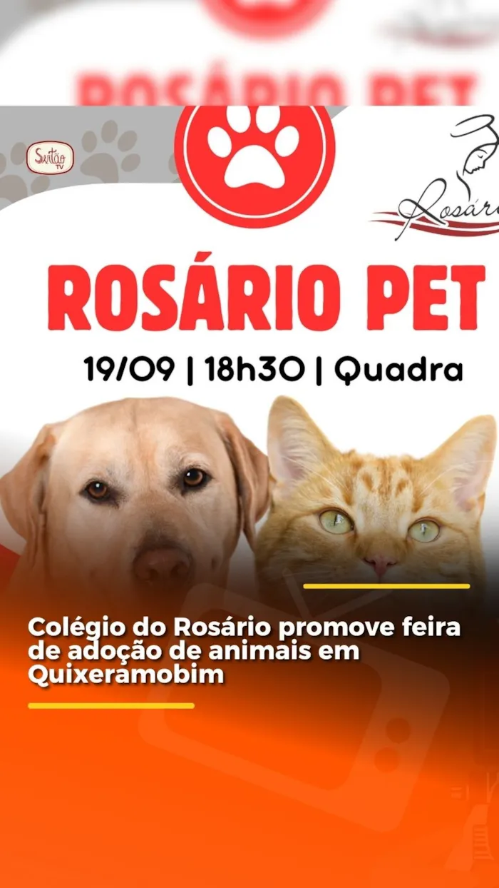 A Rosário Pet, feira de adoção de animais organizada pelo Colégio Nossa Senhora do Rosário em Quixeramobim (CE), acontece no dia 19/09, às 18h30. Adote um pet e apoie a proteção animal!