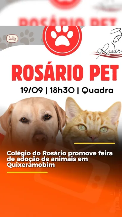 Rosário Pet: Feira de Adoção de Animais