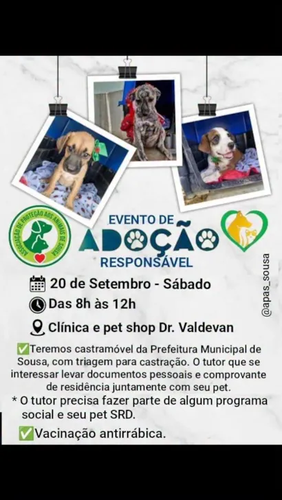 Evento de Adoção Responsável