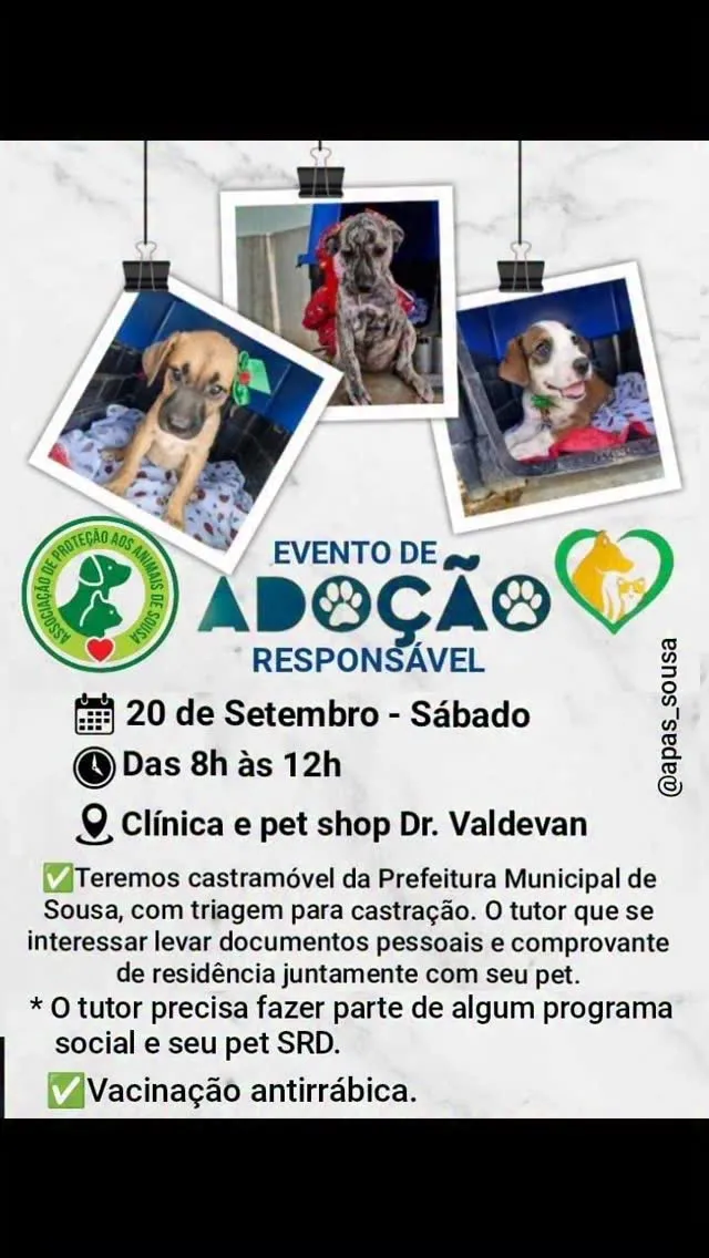Evento de adoção de cães e gatos filhotes em 20/09 das 8h às 12h na Clínica e Pet Shop Dr. Valdevan, Sousa - PB.  Requisitos: Maior de 18 anos, independência financeira e concordância familiar. Castramóvel e vacinação antirrábica disponíveis.