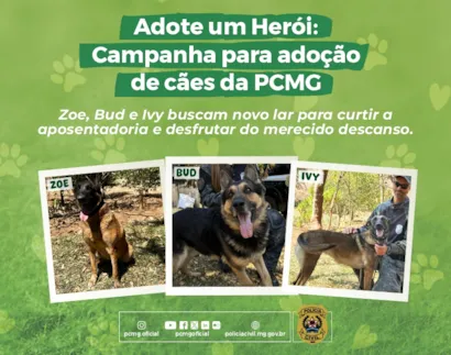Adote um Herói: Campanha de Adoção de Cães da PCMG