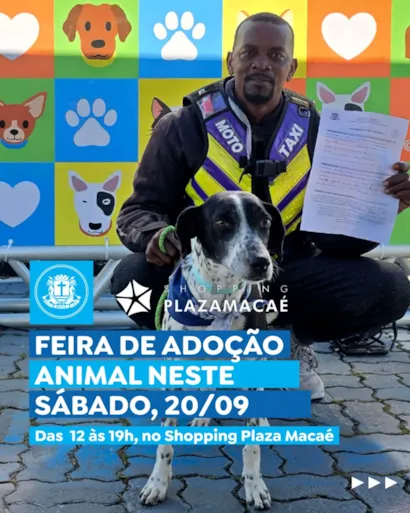 Feira de Adoção de Animais em Macaé
