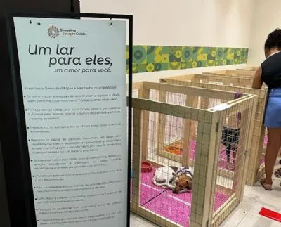 Estação Pet: Feira de Adoção de Pets