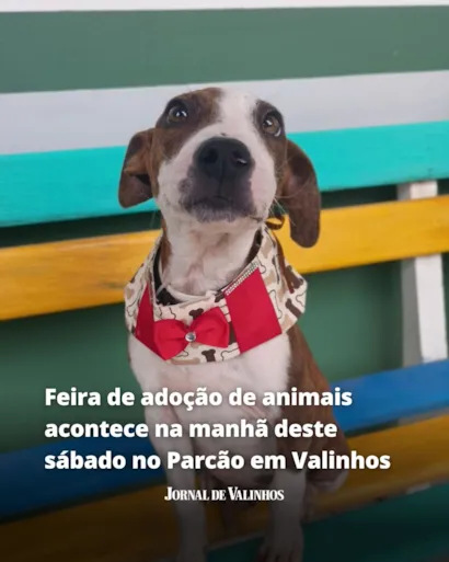 Feira de Adoção de Animais no Parcão - Valinhos