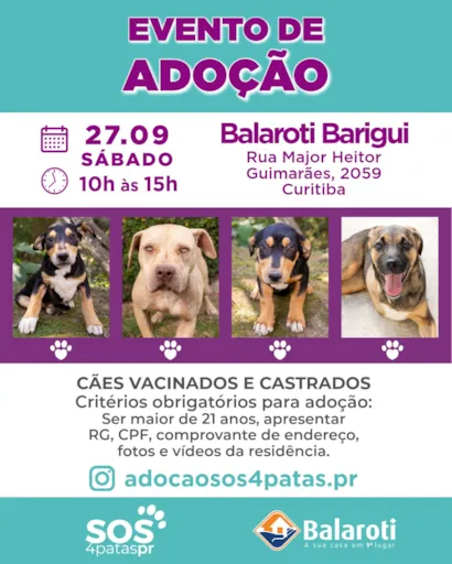 Evento de Adoção de Cães - SOS 4 Patas Paraná