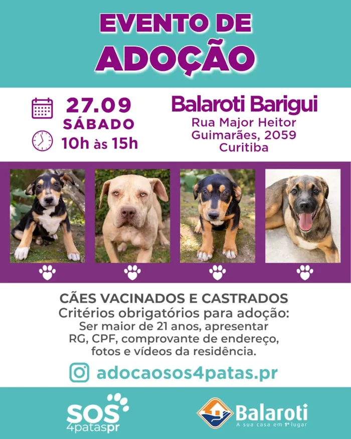 Evento de adoção de cães em Curitiba (PR) no dia 27/09, das 10h às 15h, no Balaroti Barigui. Cães vacinados e castrados, prontos para um lar cheio de amor! Critérios de adoção: +21 anos, RG, CPF, comprovante de endereço, fotos e vídeos da residência.