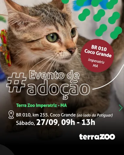 Evento de Adoção de Animais na Terra Zoo Imperatriz