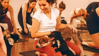 Puppy Yoga: Yoga com filhotes para adoção em Curitiba