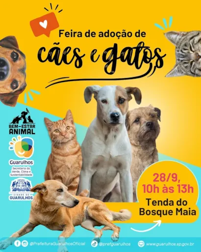 Feira de Adoção de Cães e Gatos em Guarulhos