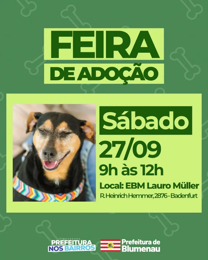 Feira de adoção de animais em Blumenau/SC no dia 27/09, das 9h às 12h, na EBM Lauro Müller. Encontre seu novo amigo! #FeiraDeAdoção #AdoçãoResponsável