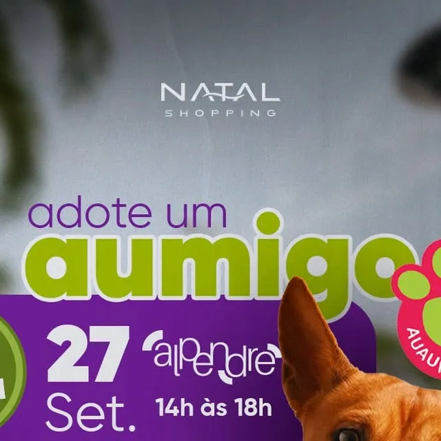Feira de adoção de cães e gatos da ASPAN RN no Natal Shopping, neste sábado (27), das 14h às 18h. Encontre seu novo melhor amigo! Maiores de 18 anos, com documento com foto.