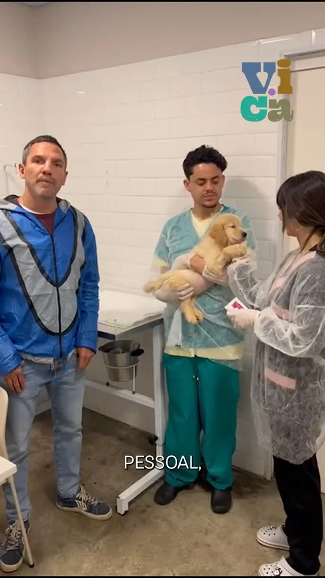 Adoção de cães e gatos no VICA - centro de adoção e petshop em São Paulo. Quinta-feira, 25/09/2025, das 10h às 20h.  Maiores de 18 anos. Taxa de adoção inclui testes, vacina e consulta.