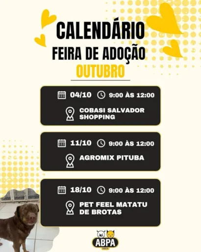 Calendário Feira de Adoção - Outubro