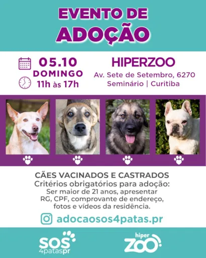 Evento de Adoção no Hiperzoo do Seminário