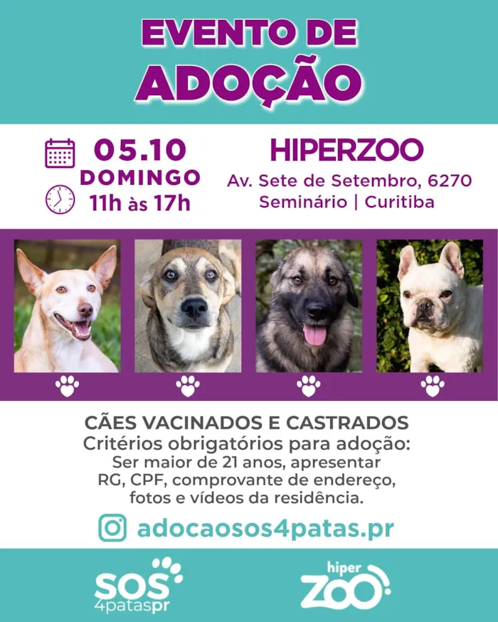 Participe do evento de adoção de cães no Hiperzoo do Seminário em Curitiba no dia 05/10. Animais vacinados e castrados. Saiba os critérios para adoção.