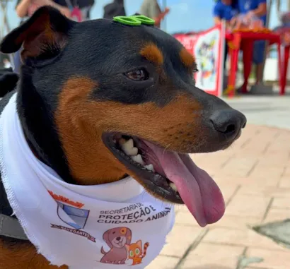 1º Encontro dos AUmigos em Navegantes