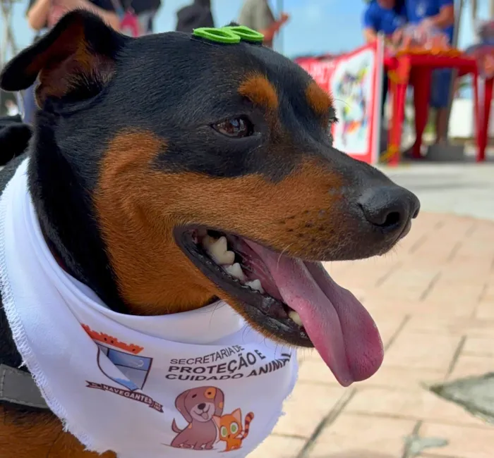 1º Encontro dos AUmigos em Navegantes