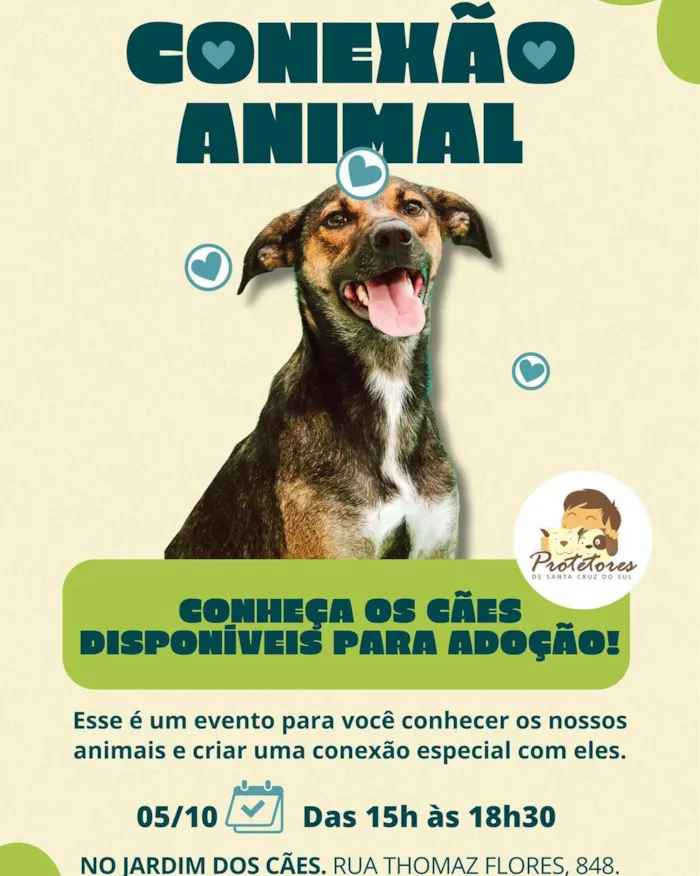 Encontro especial para conhecer cães disponíveis para adoção no Jardim dos Cães em Santa Cruz do Sul. Dia 05/10, das 15h às 18h30. Crie uma conexão especial!