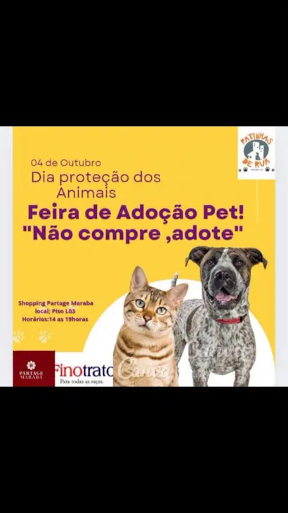 Feira de Adoção Pet: Não Compre, Adote!