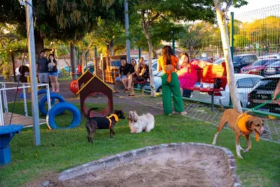 Evento de Adoção Pet no Amazonas Shopping