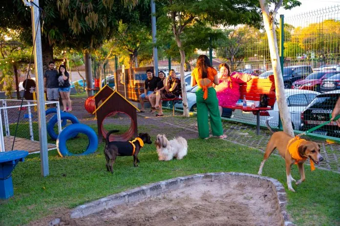 Evento de Adoção Pet no Amazonas Shopping