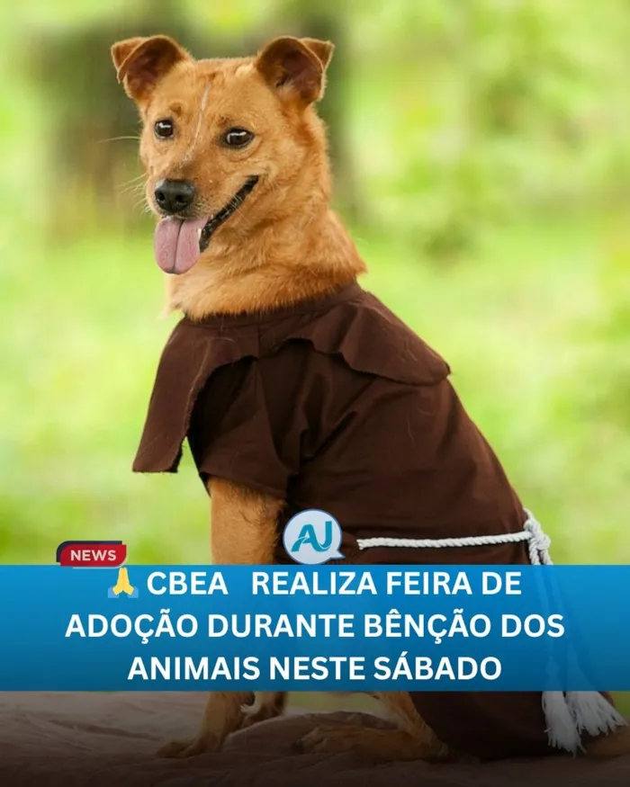 Feira de Adoção e Bênção dos Animais
