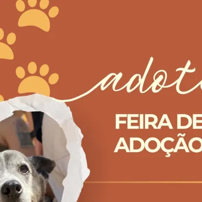 Feira de Adoção: Scooby Busca Amor!
