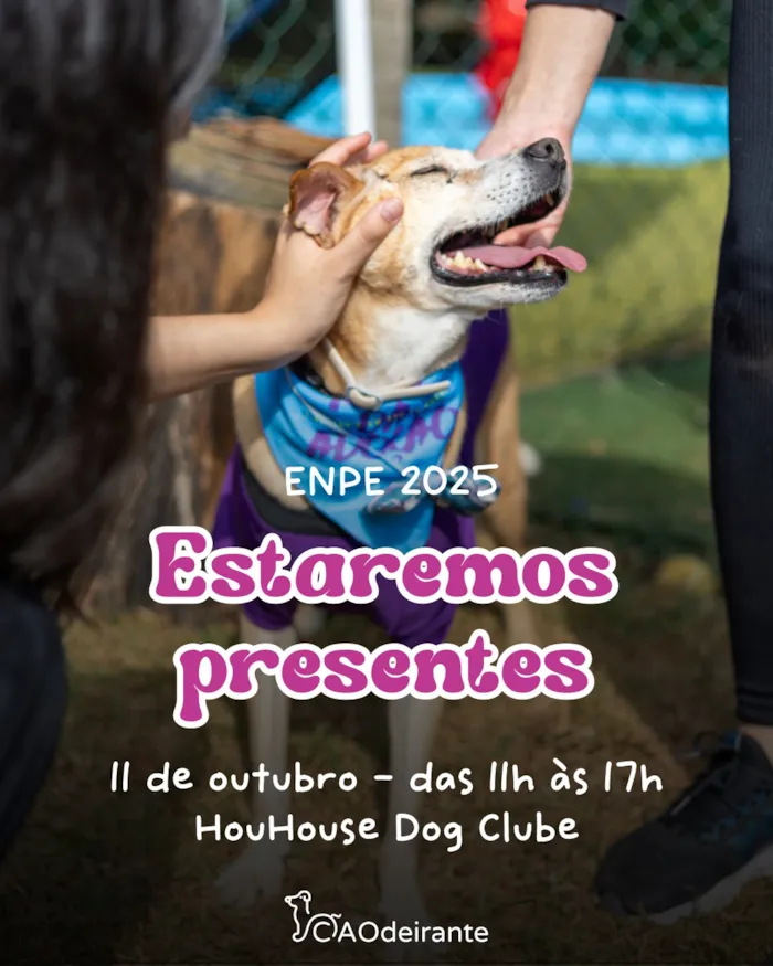 Participe do ENPE Brasil 2025 com o Instituto Cãodeirante! Desfile de pets, feira de adoção, expositores e mais. Dia 11 de outubro em São Paulo. Evento beneficente.