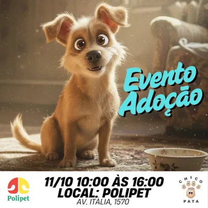 Evento de Adoção Chico Pata