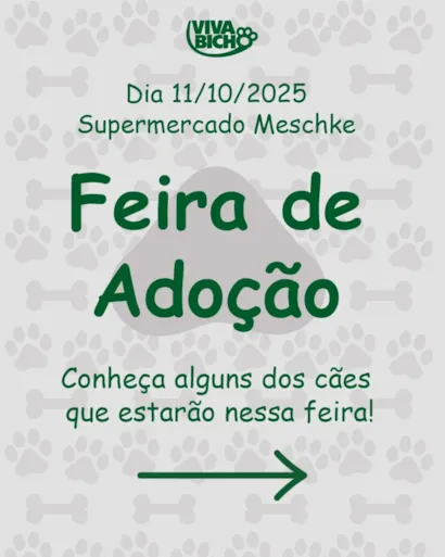 Feira de Adoção - Encontre seu melhor amigo!