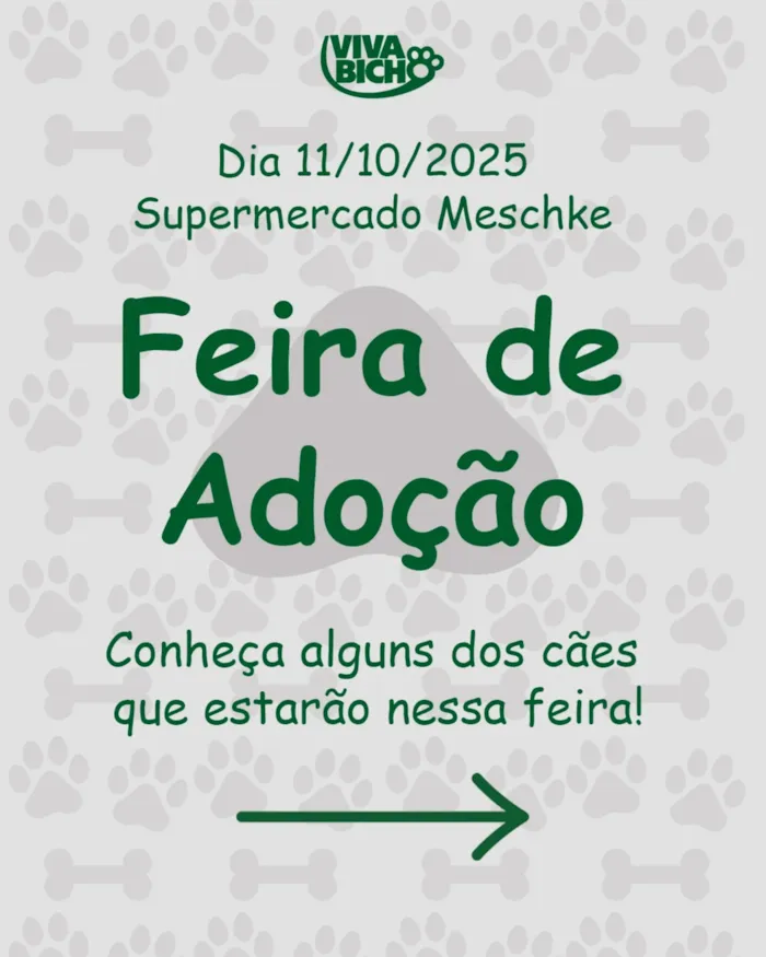 Participe da Feira de Adoção no dia 11/10/2025, das 10h às 15h, no Estacionamento do Meschke, Bairro das Nações. Encontre seu novo amigo!