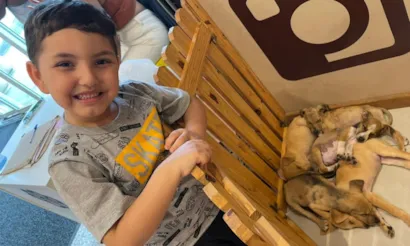 Feira de Adoção de Animais no Boulevard Camaçari