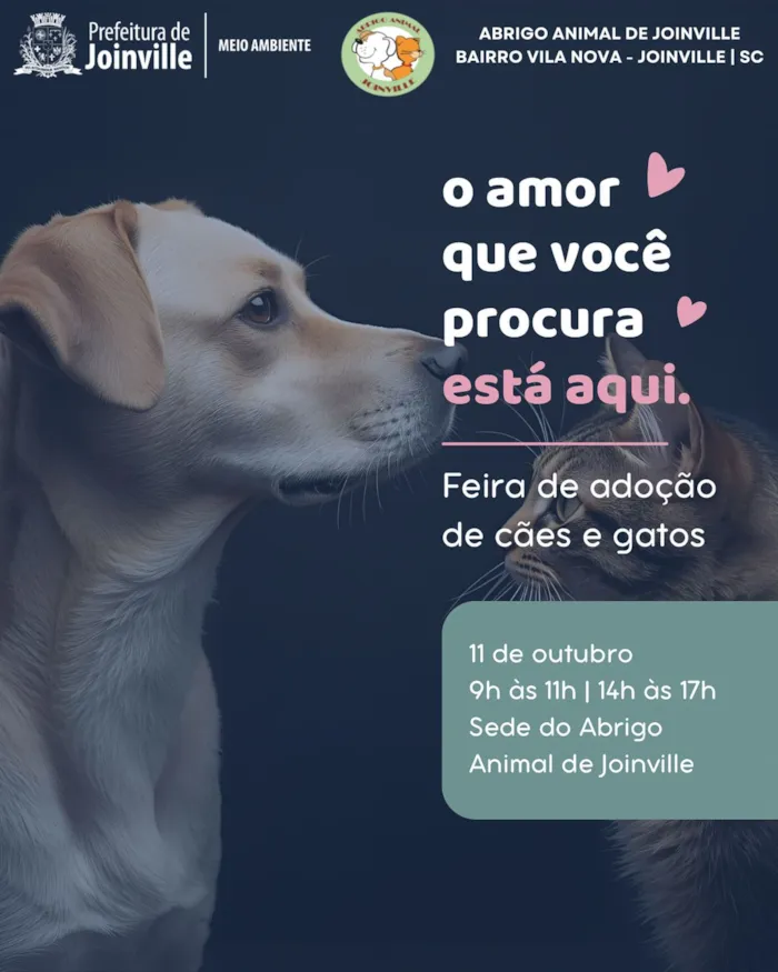 Participe da Feira de Adoção de Cães e Gatos no Abrigo Animal de Joinville em 11 de Outubro. Encontre seu novo amor de quatro patas!