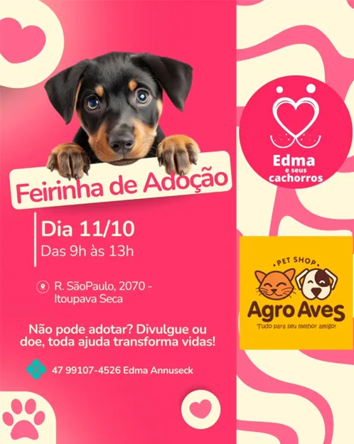 Feirinha de Adoção Pet em Blumenau no dia 11 de outubro, das 9h às 13h, na Agro Aves. Adote um amigo e doe para ajudar.