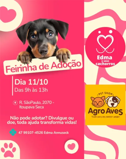 Feirinha de Adoção Pet na Agro Aves
