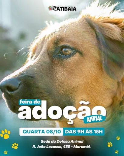 Feira de Adoção Animal em Atibaia