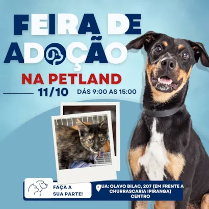 Feira de Adoção na Petland