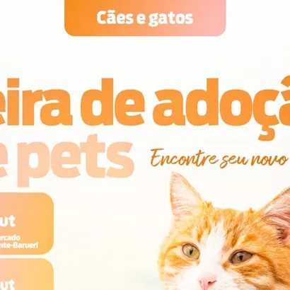 Feira de Adoção de Pets em Barueri