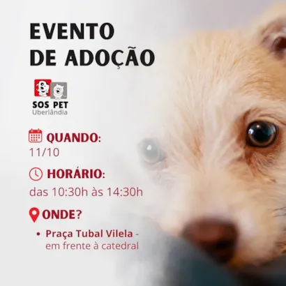 Feirinha de Adoção SOS PET Uberlândia