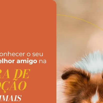 Feira de Adoção de Animais no Boulevard Shopping