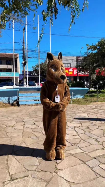 Feira de Adoção em Viamão