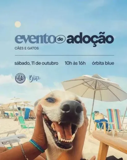 Feira de adoção Praia do futuro