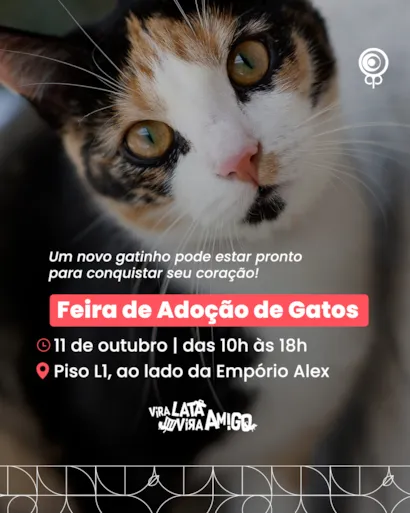 Feira de Adoção de Gatos no Parque Shopping Barueri