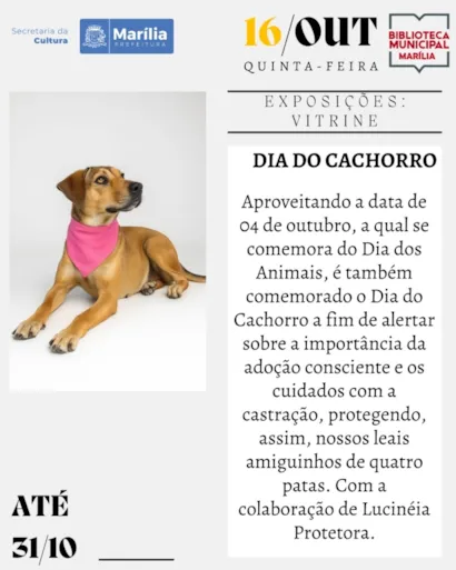 Exposição Vitrine: Dia do Cachorro