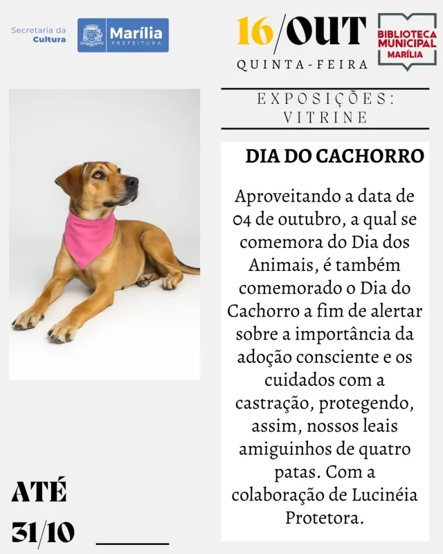 Exposição Vitrine: Dia do Cachorro