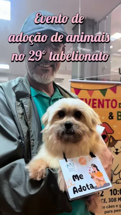 Evento de Adoção de Animais no 29º Tabelionato