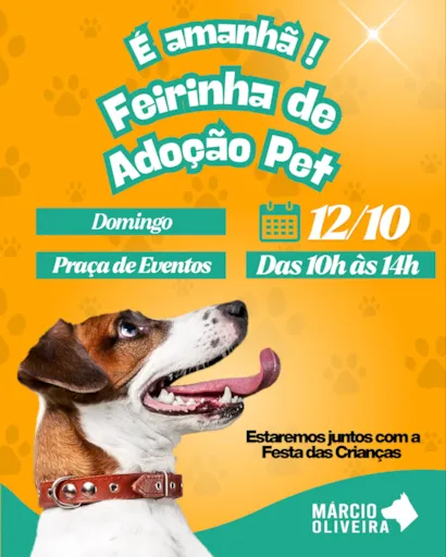 Feirinha de Adoção Pet - Um Dia de Amor e Alegria