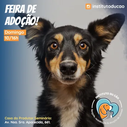 Feira de Adoção Instituto Du Cão