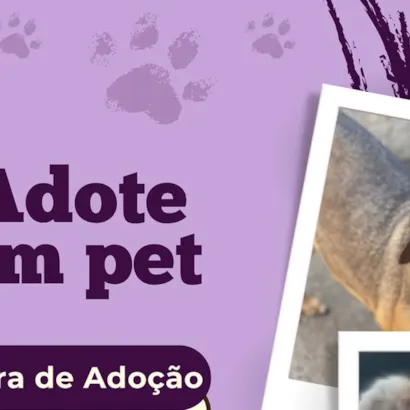 Feira de Adoção: Adote um Pet!